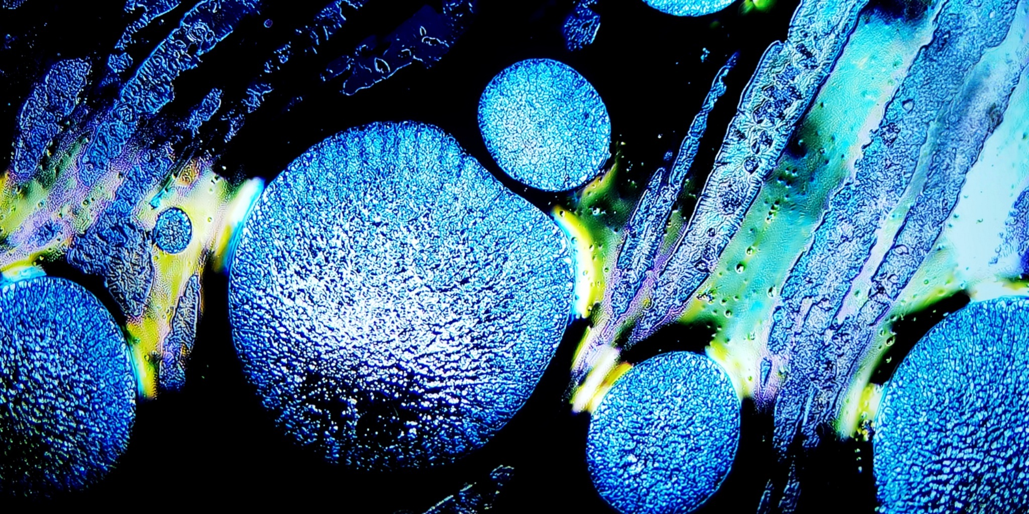 Odin's Sapphire Gaze tied-mouth Yohen Jian Zhan Tea Cup