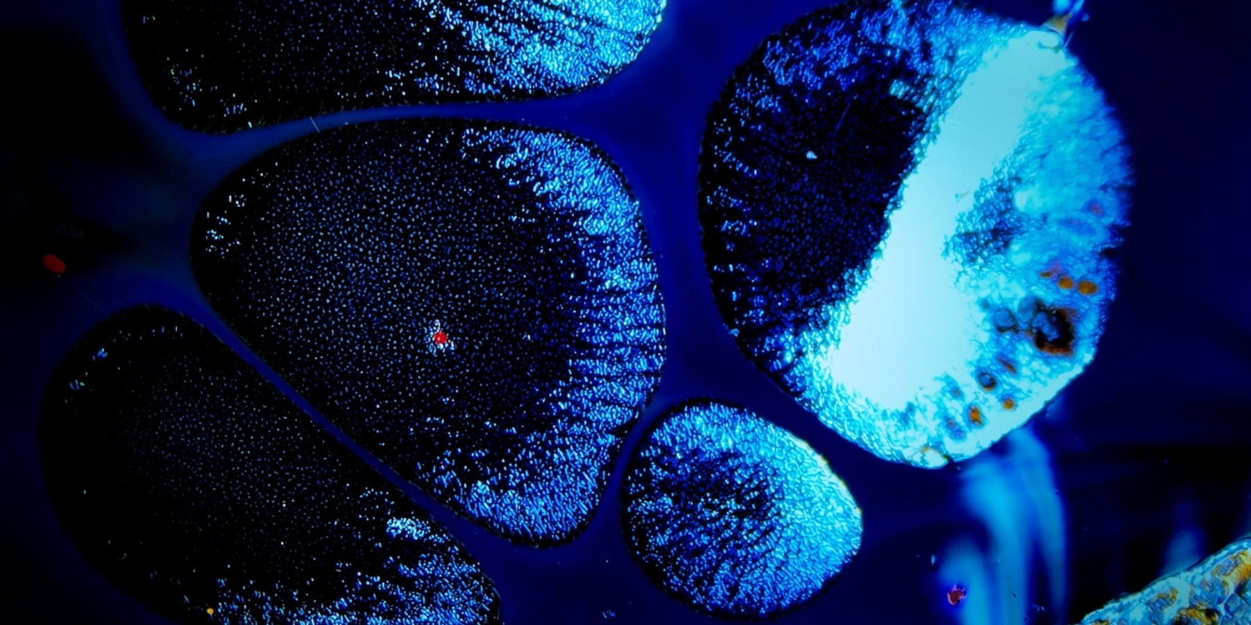 Odin's Sapphire Gaze tied-mouth Yohen Jian Zhan Tea Cup