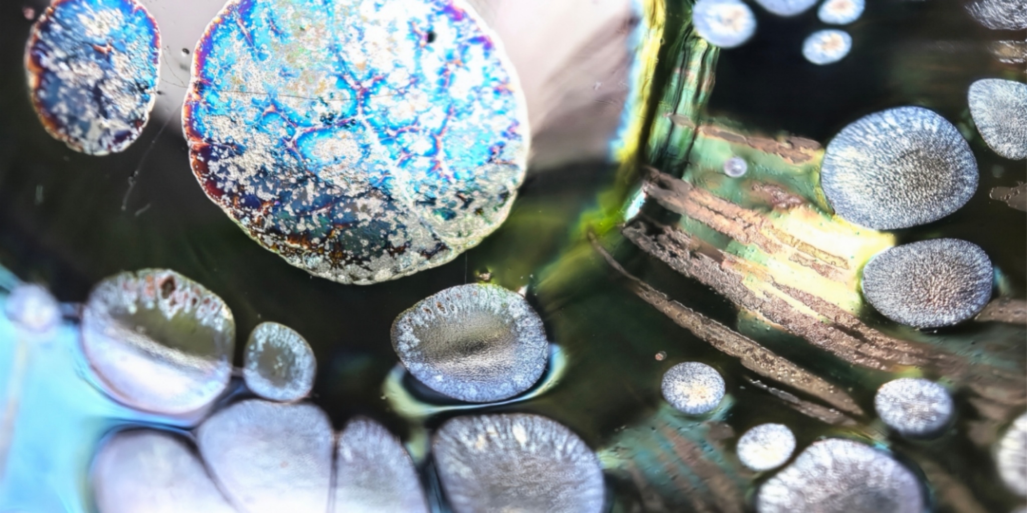 Odin's Sapphire Gaze tied-mouth Yohen Jian Zhan Tea Cup