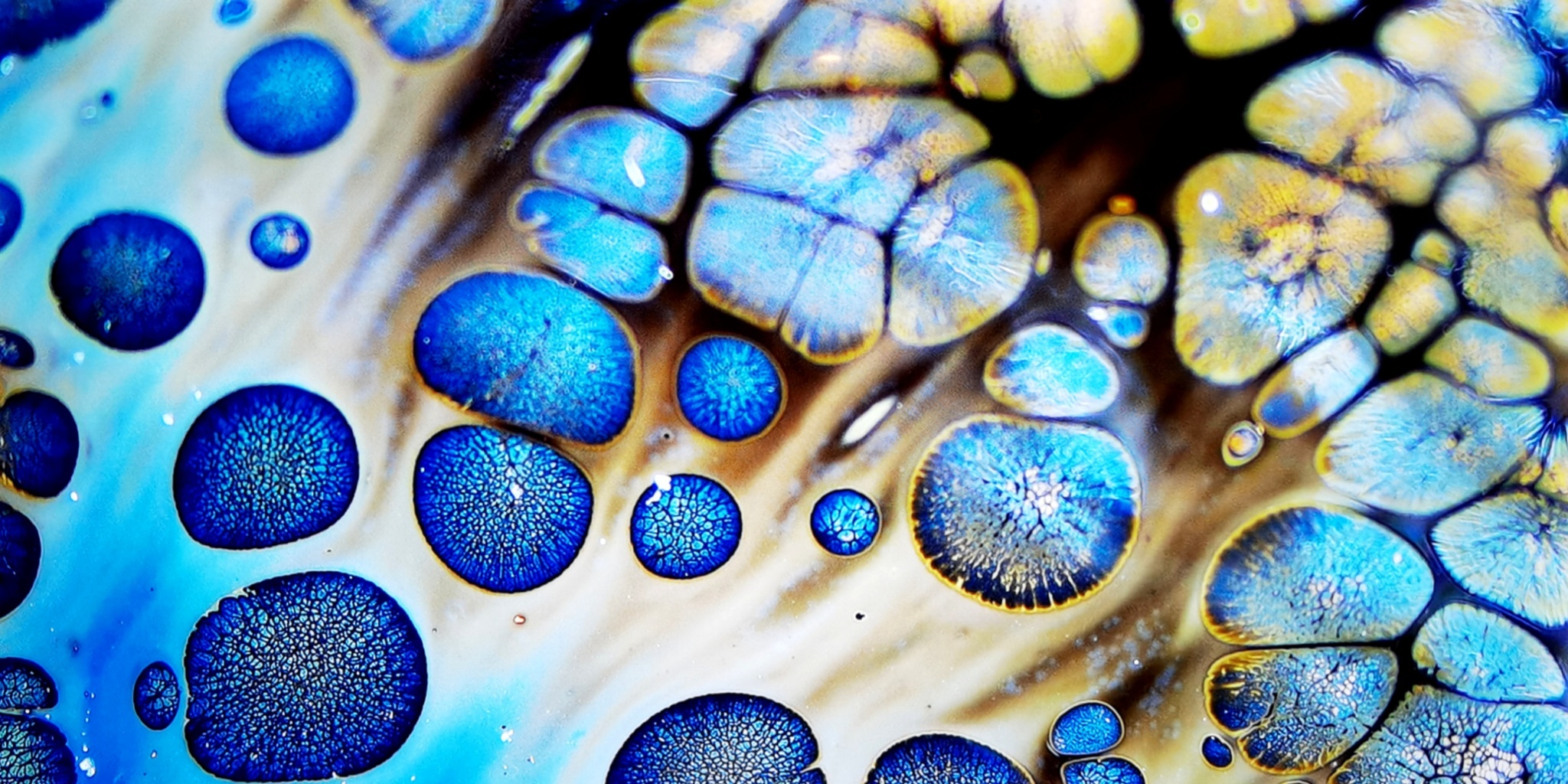 Pandora's Celestial Beads tied-mouth Yohen Jian Zhan Tea Cup