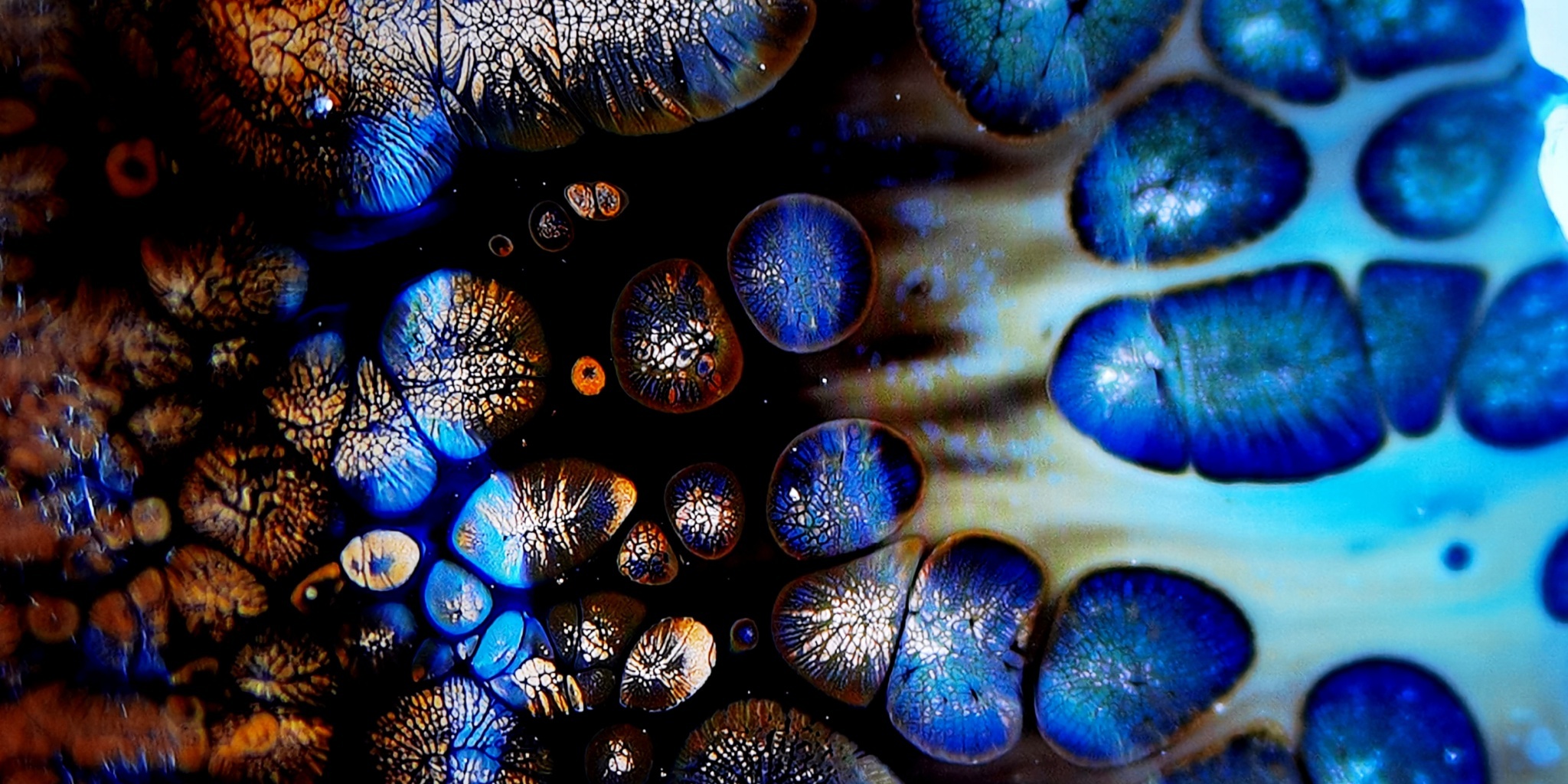 Pandora's Celestial Beads tied-mouth Yohen Jian Zhan Tea Cup