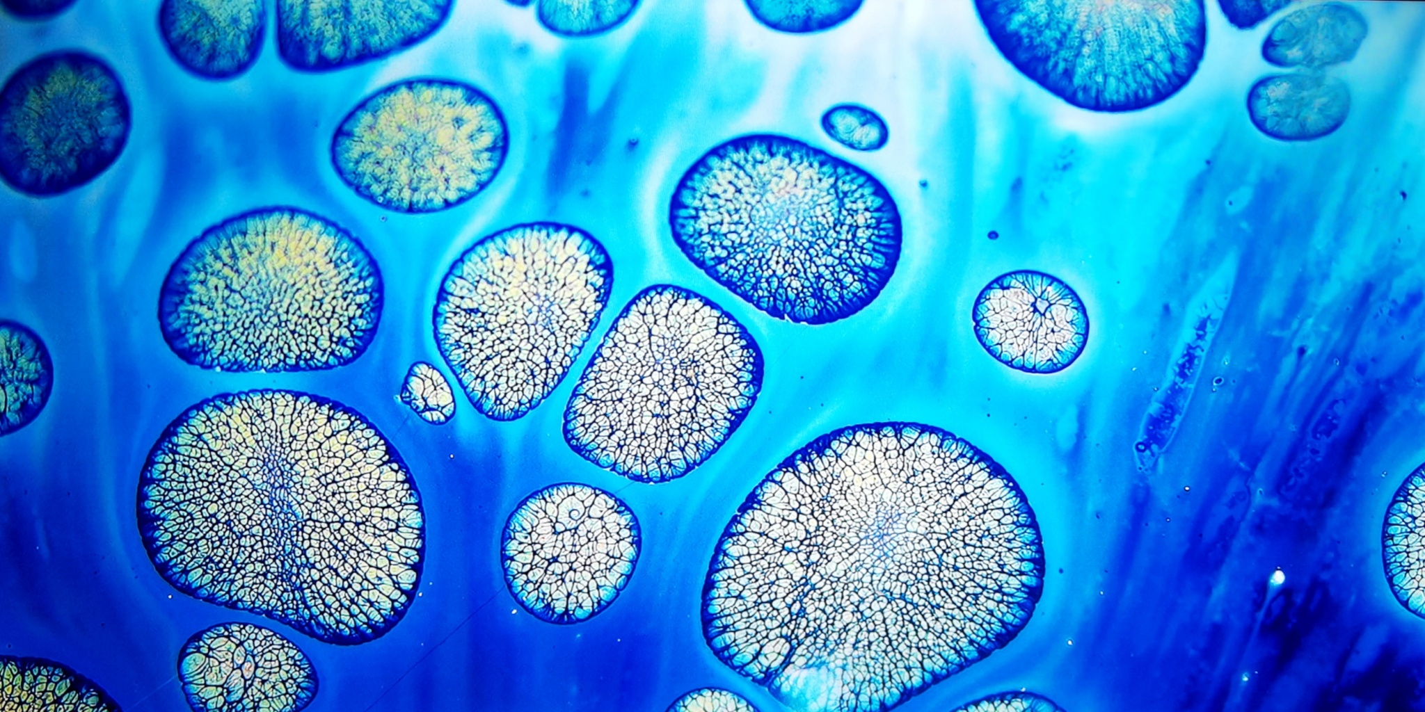 Pandora's Celestial Beads tied-mouth Yohen Jian Zhan Tea Cup