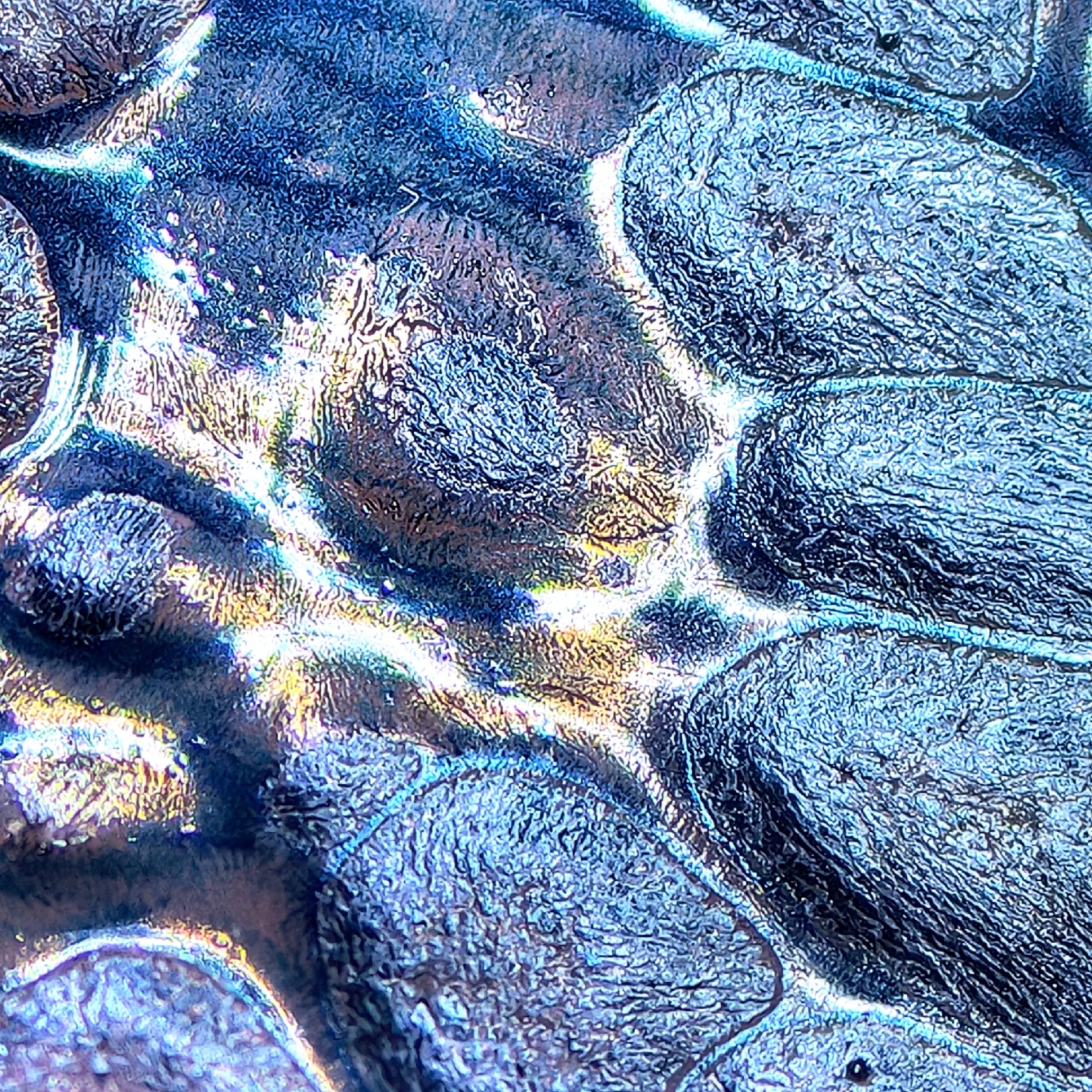 Poseidon's Abyssal Chalice wide-mouth Yohen Jian Zhan Tea Cup