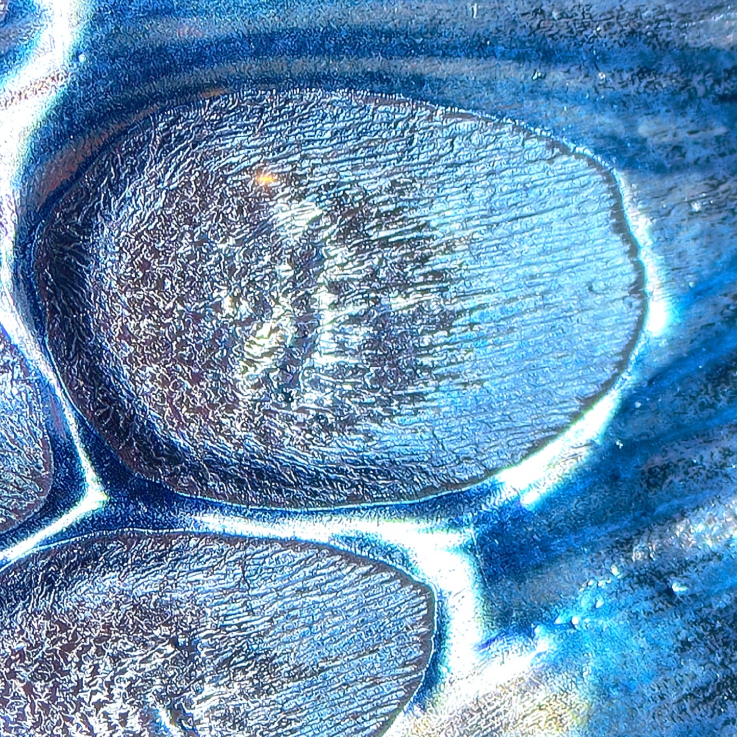 Poseidon's Abyssal Chalice wide-mouth Yohen Jian Zhan Tea Cup