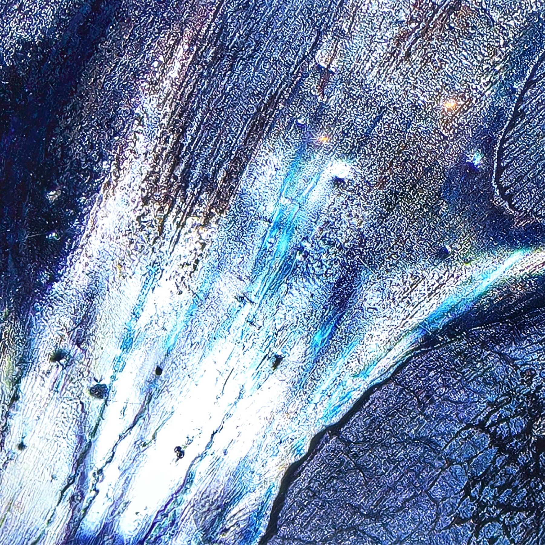 Poseidon's Abyssal Chalice wide-mouth Yohen Jian Zhan Tea Cup