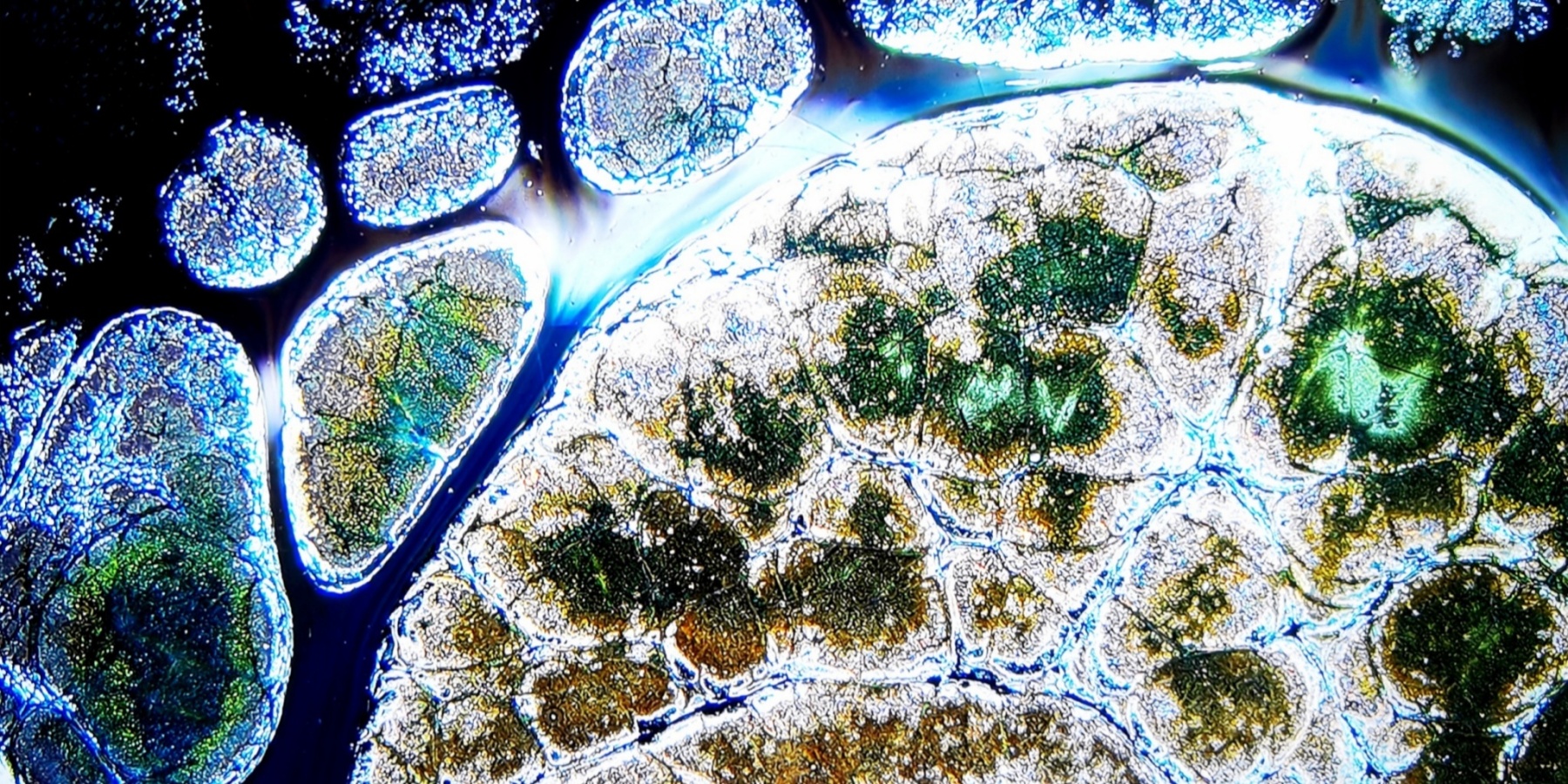 Poseidon's Oceanic Gems tied-mouth Yohen Jian Zhan Tea Cup