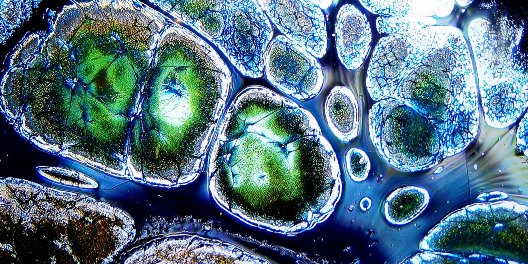 Poseidon's Oceanic Gems tied-mouth Yohen Jian Zhan Tea Cup