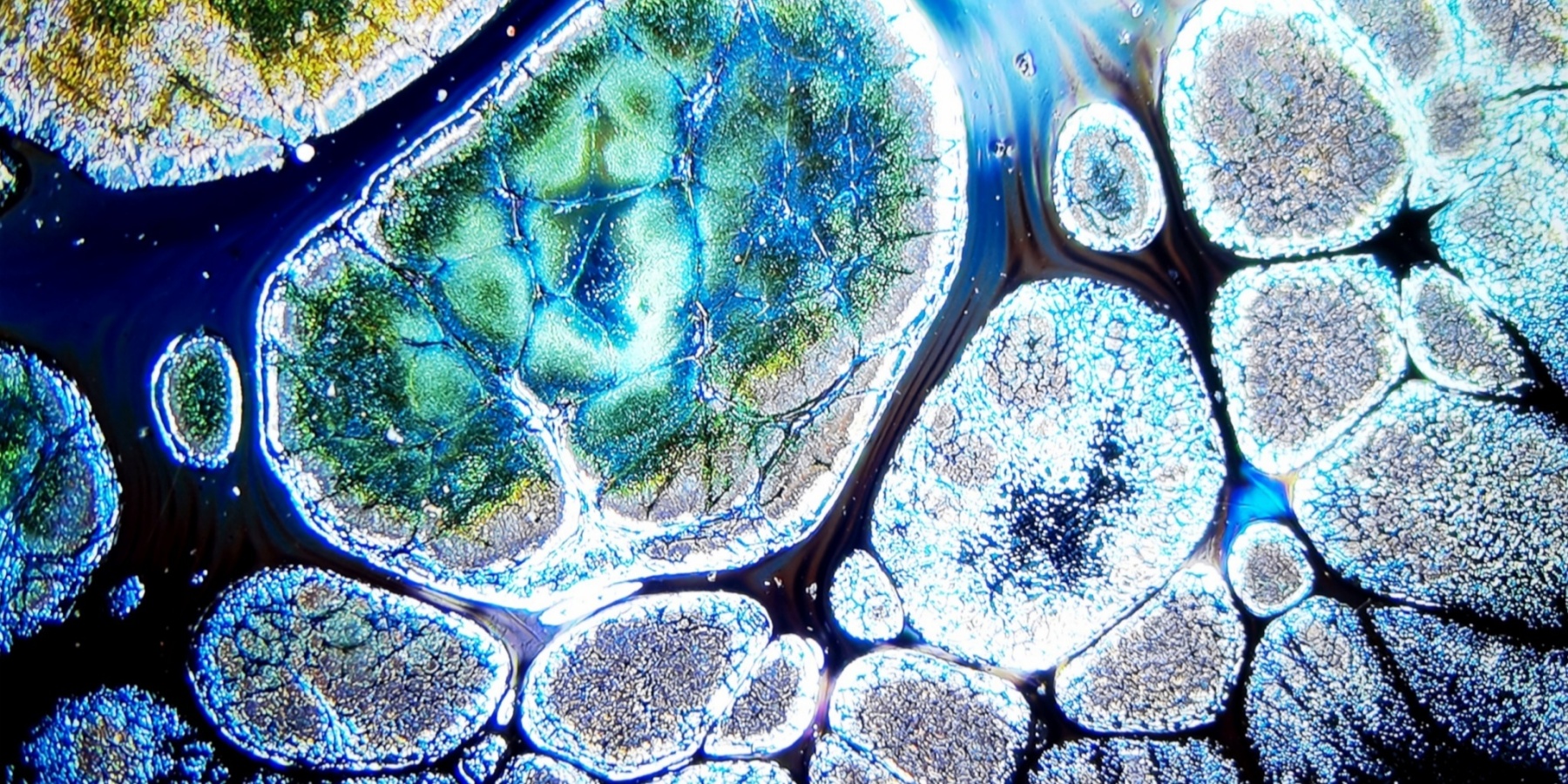 Poseidon's Oceanic Gems tied-mouth Yohen Jian Zhan Tea Cup