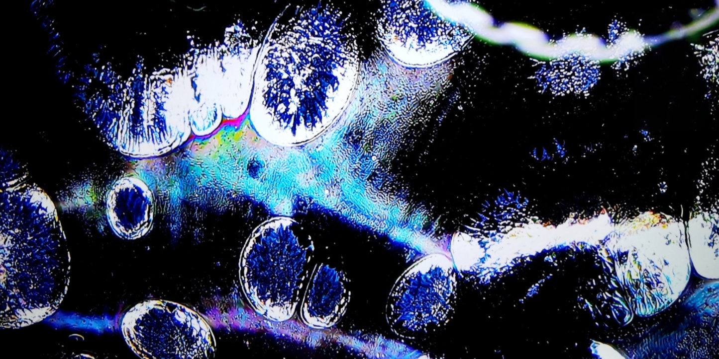 Prometheus' Fiery Gems tied-mouth Yohen Jian Zhan Tea Cup