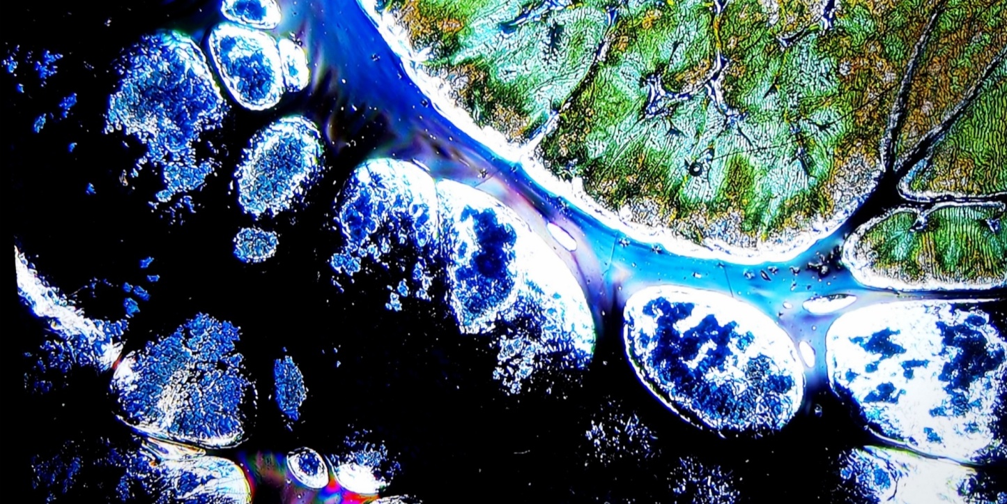 Prometheus' Fiery Gems tied-mouth Yohen Jian Zhan Tea Cup