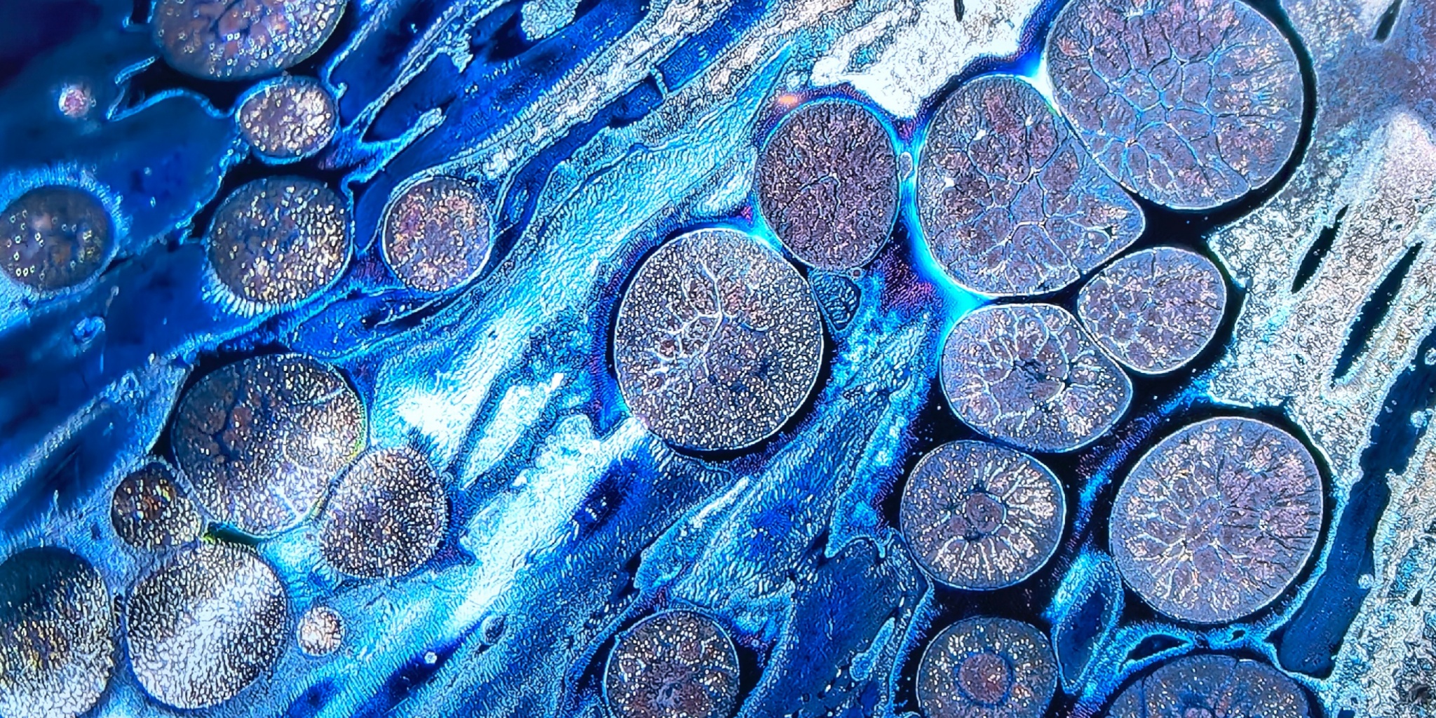 Stellar Nectar of Elysium wide-mouth Yohen Jian Zhan Tea Cup