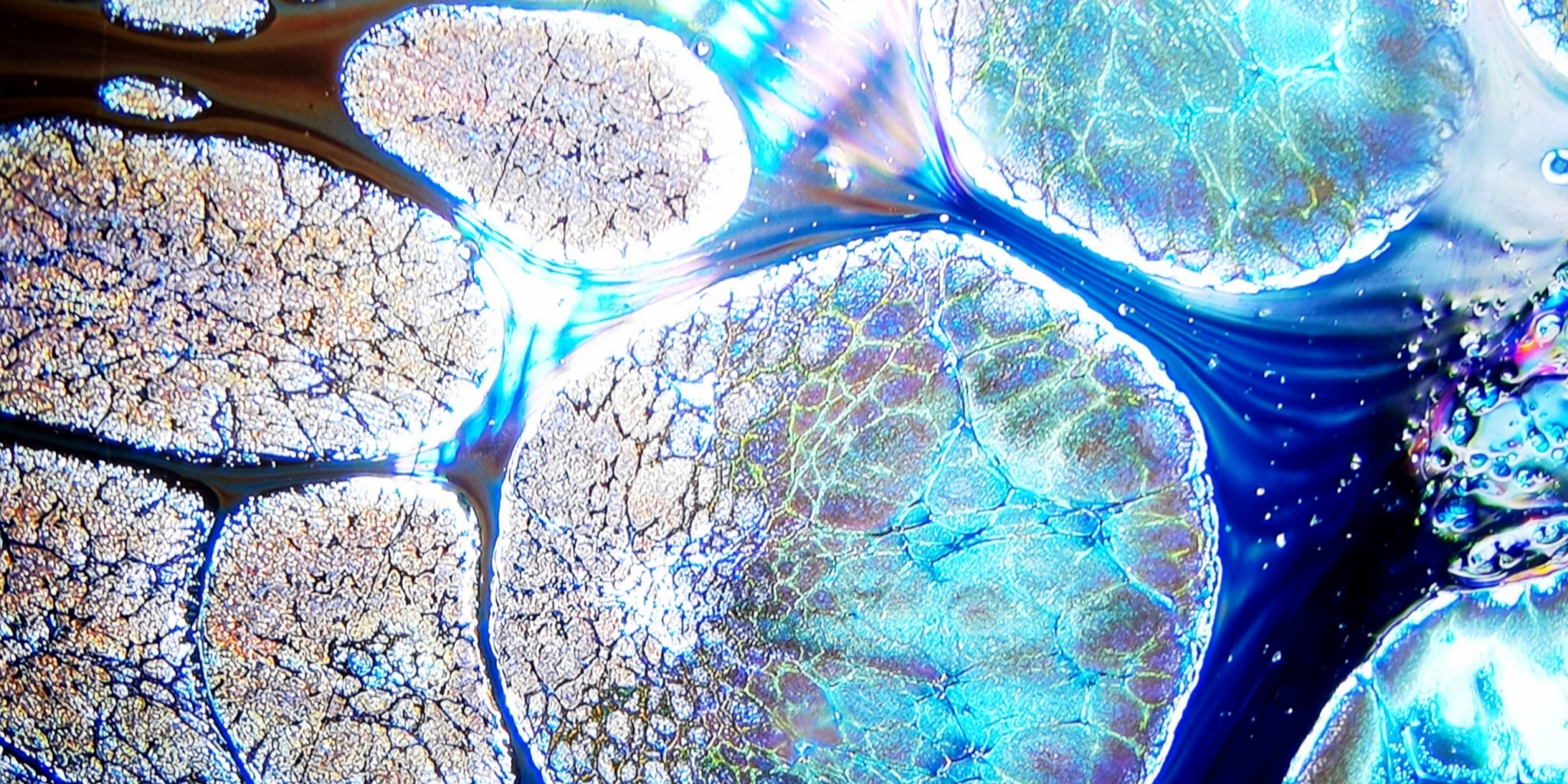 Valkyrie's Celestial Shards tied-mouth Yohen Jian Zhan Tea Cup