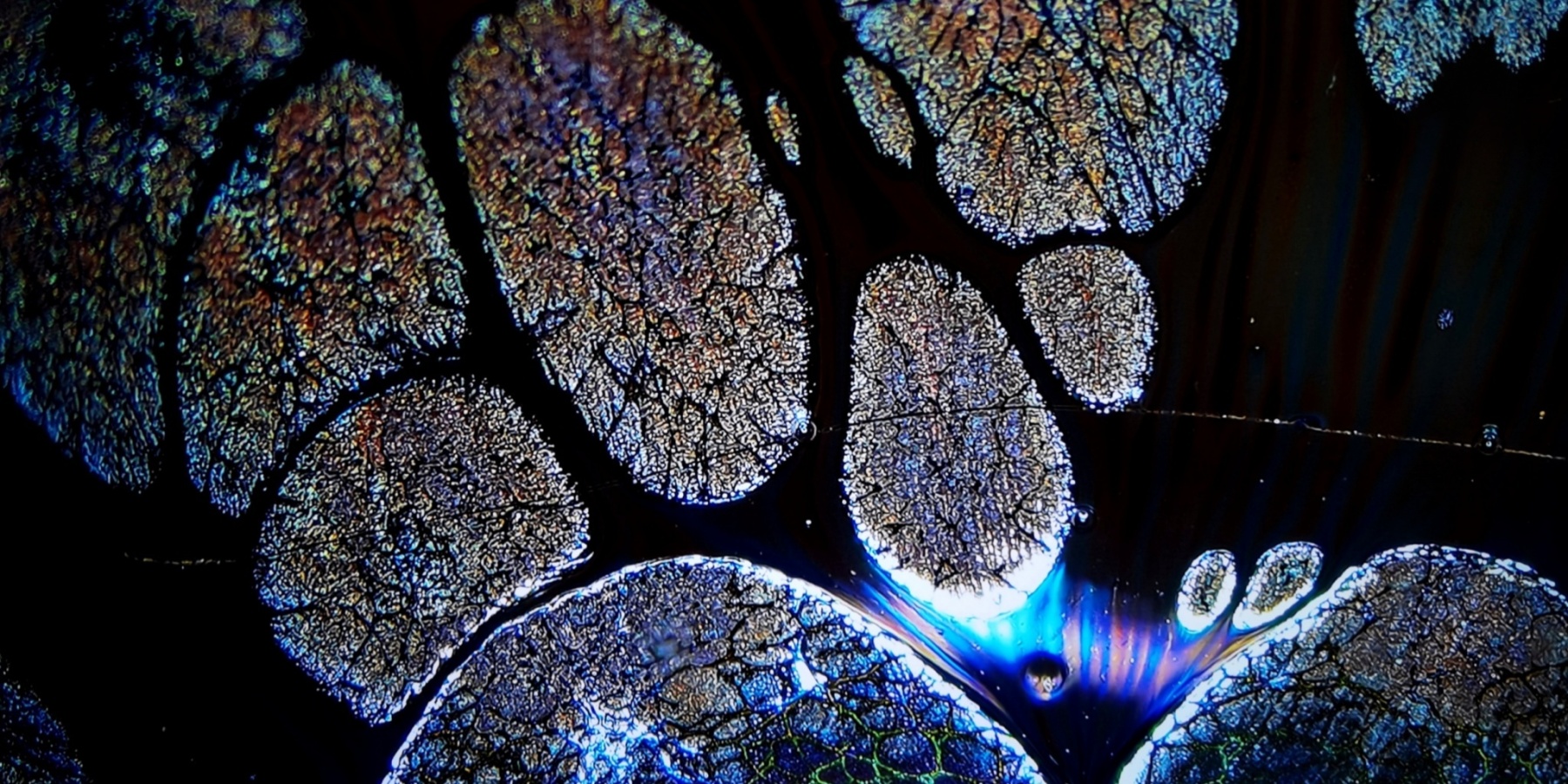 Valkyrie's Celestial Shards tied-mouth Yohen Jian Zhan Tea Cup