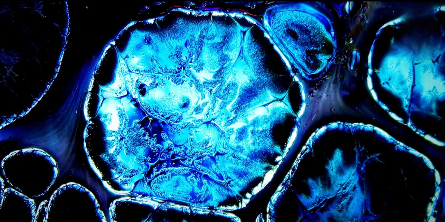 Valkyrie's Celestial Shards tied-mouth Yohen Jian Zhan Tea Cup