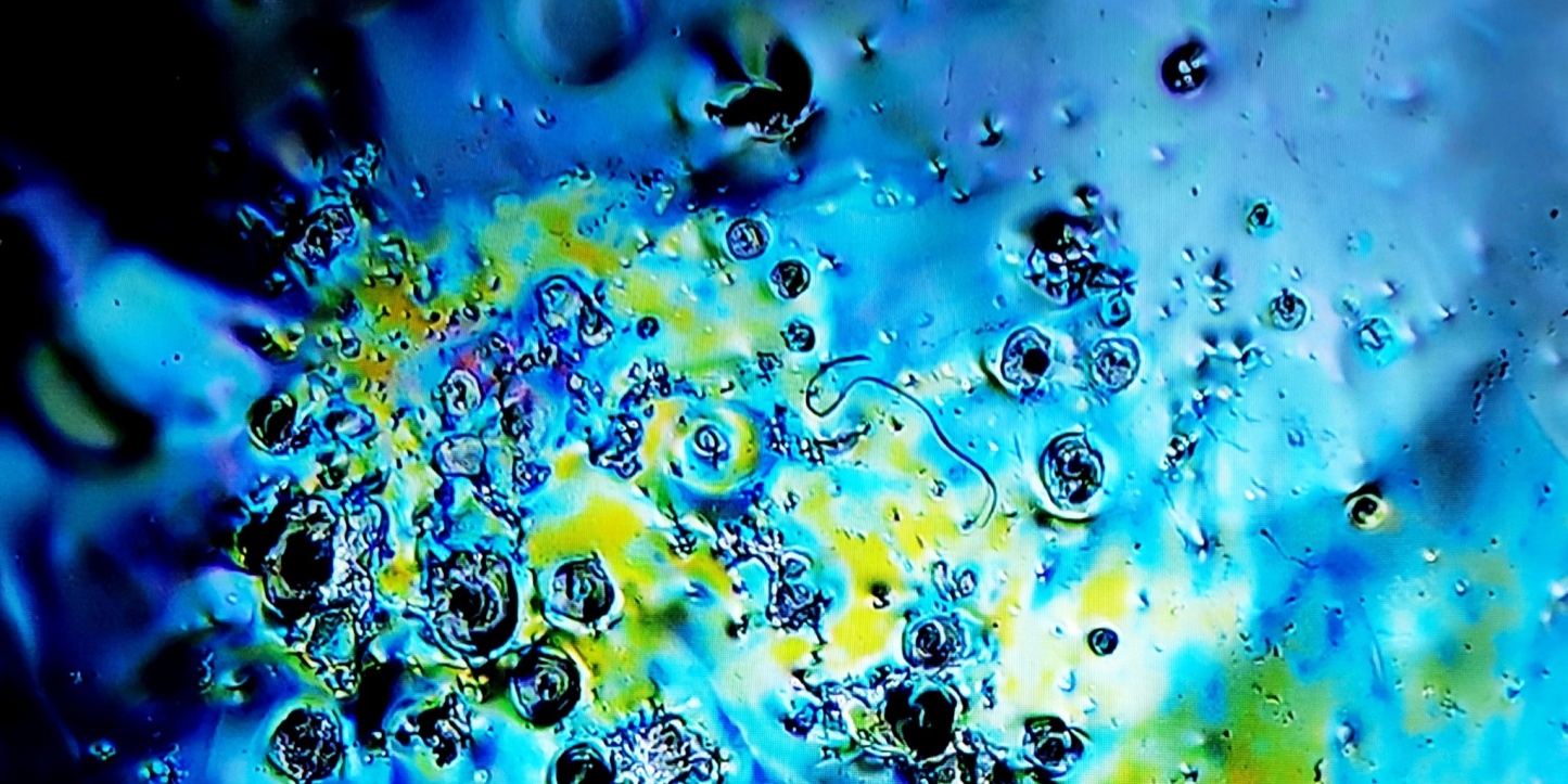 Zeus' Thunderbolt Sparkles tied-mouth Yohen Jian Zhan Tea Cup