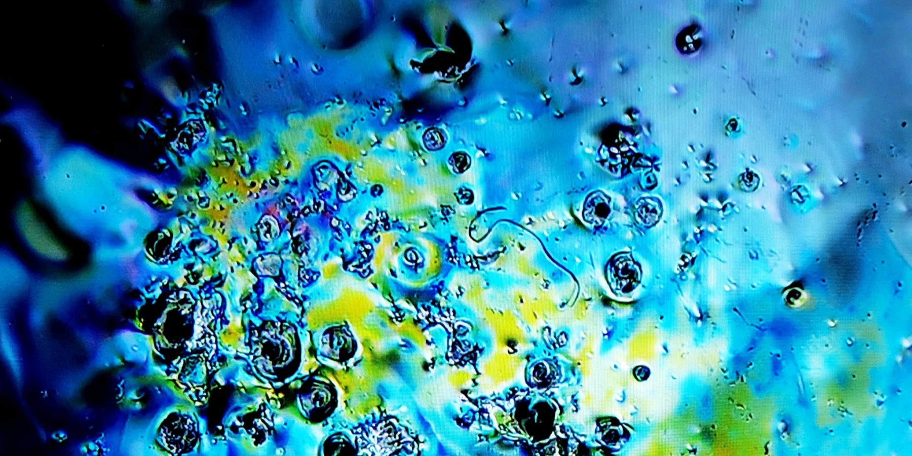 Zeus' Thunderbolt Sparkles tied-mouth Yohen Jian Zhan Tea Cup