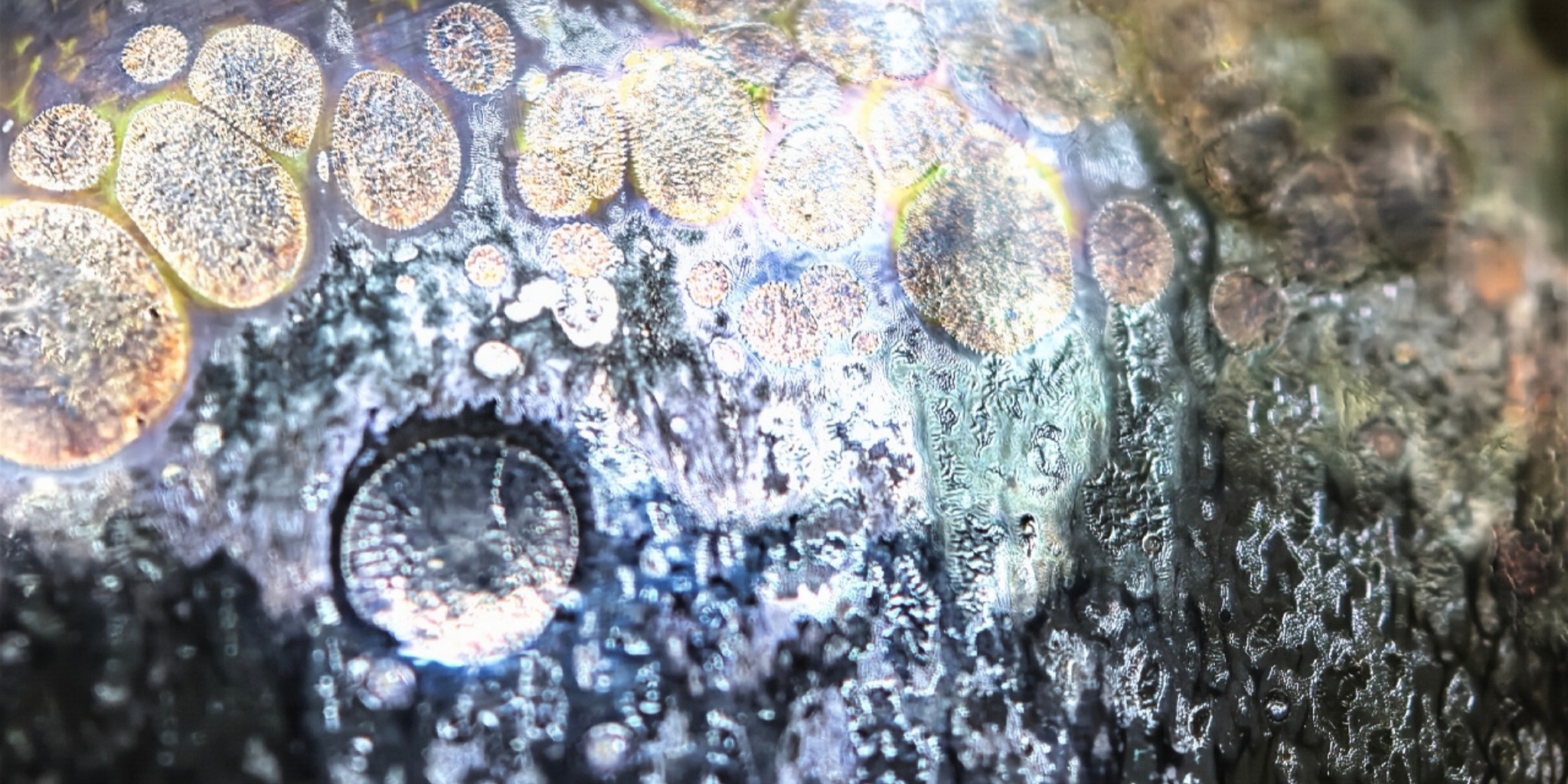 Zeus' Thunderbolt Sparkles tied-mouth Yohen Jian Zhan Tea Cup