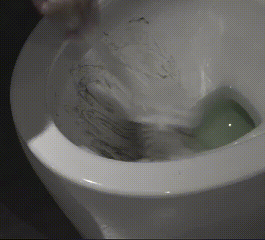 1628764562616524.gif