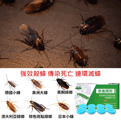 強效殺蟑餌劑