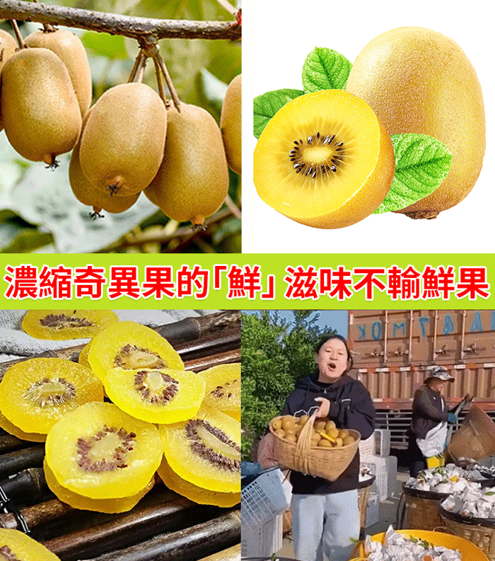 特級黃心獼猴桃乾