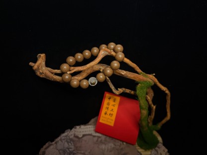 🐷Spring Bloom Allure Herbal Incense Beads Bracelet – Zodiac Pig Edition