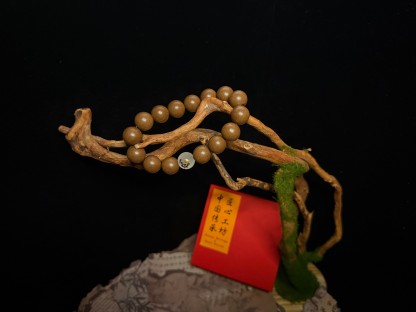 🐓 Wensi Herbal Incense Beads Bracelet – Zodiac Rooster Edition