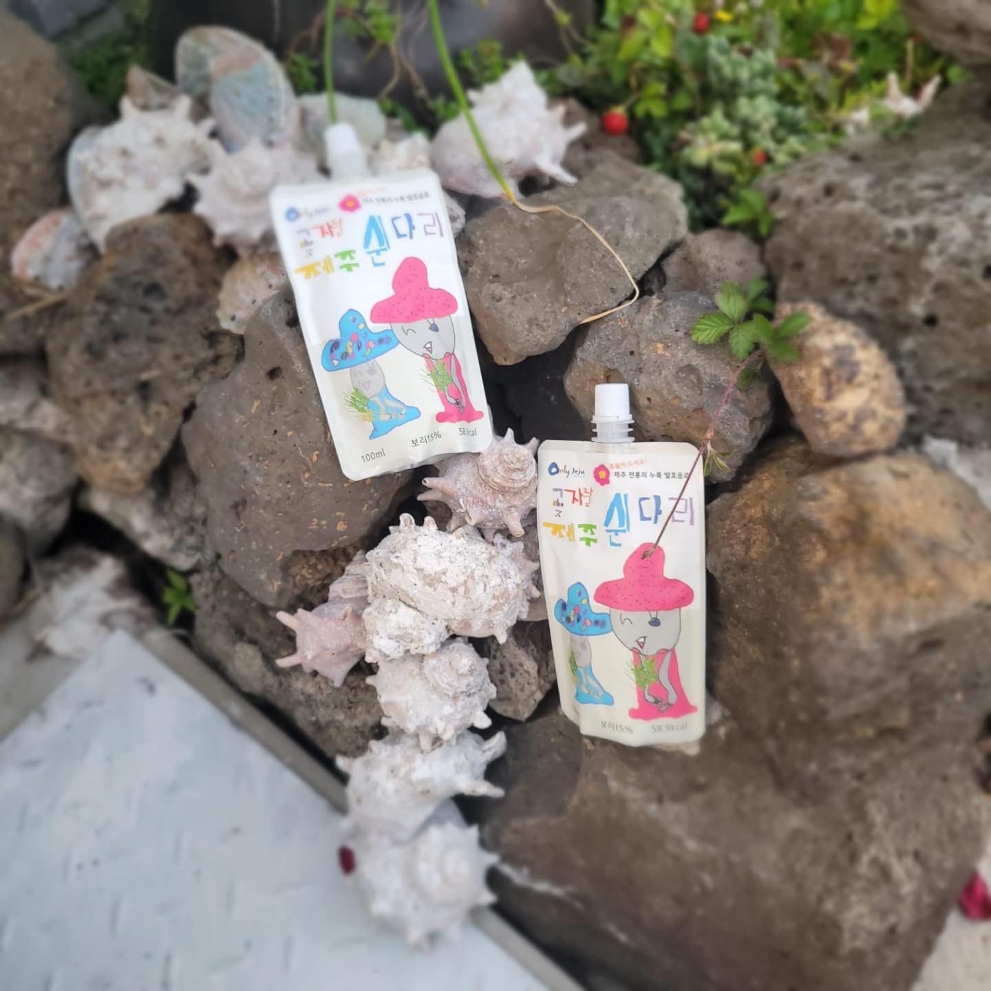 [ビーガン] スウィンダリ 韓国伝統の飲み物 コッチャワル済州 100ml X 15本入