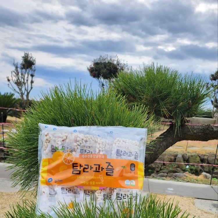 タムラグアズ 韓国産もち米 済州柑橘 40個入り