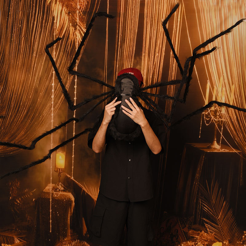 Prank Spider – Big Hairy Tarantula with Legs for Creepy Halloween Decoration & Haunted Scene