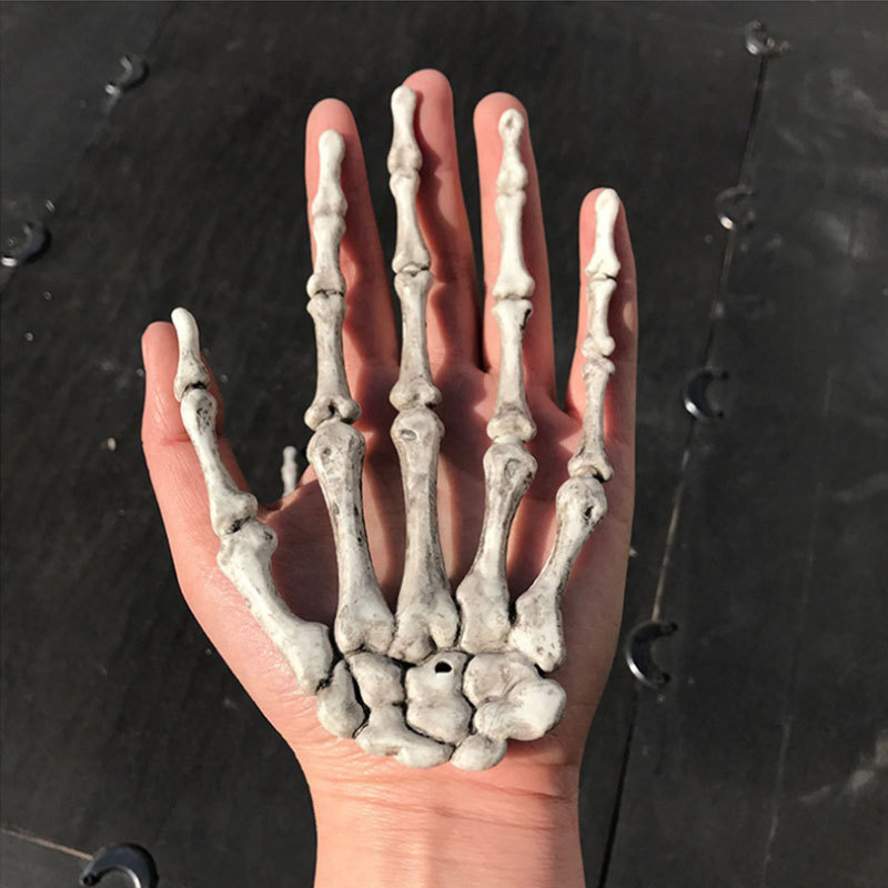 Skeleton Hand – Realistic Bone Hand Claw for Halloween Decor, Party Prop & Haunted House Decoration
