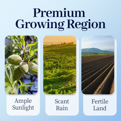 Mr. Squirrel® Milk-Scented Roasted Almonds