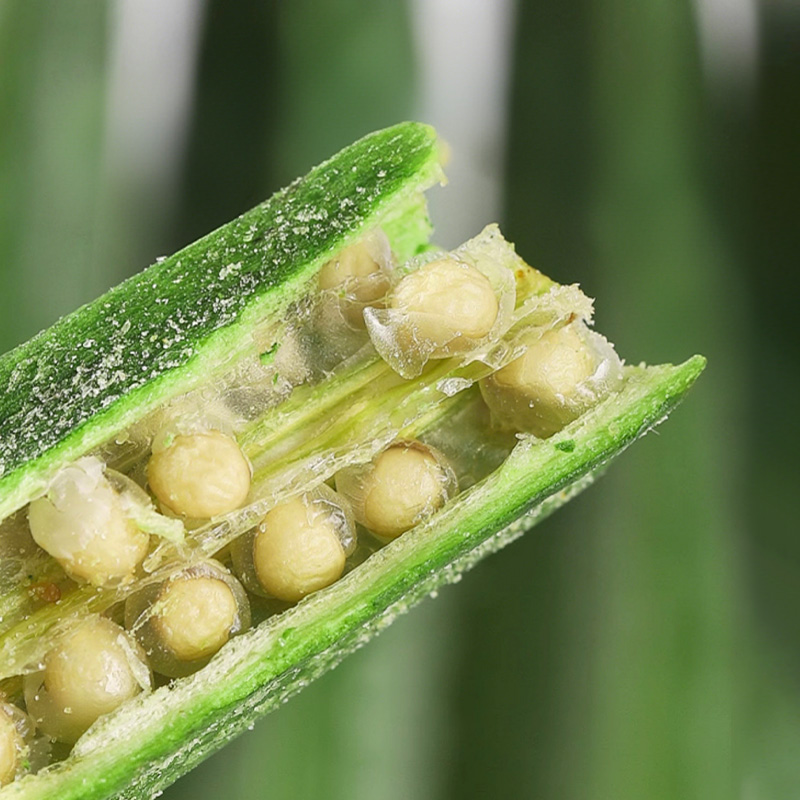Mr. Squirrel® Okra Crisps