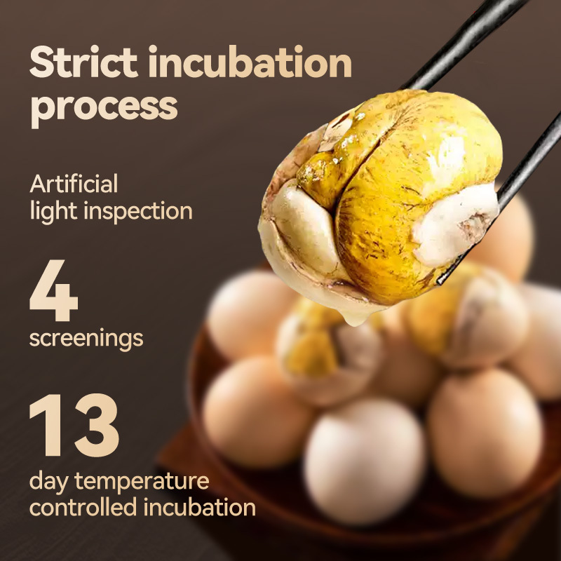 Mr. Squirrel® Balut Egg 