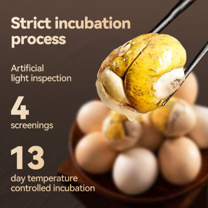 Mr. Squirrel® Balut Egg 