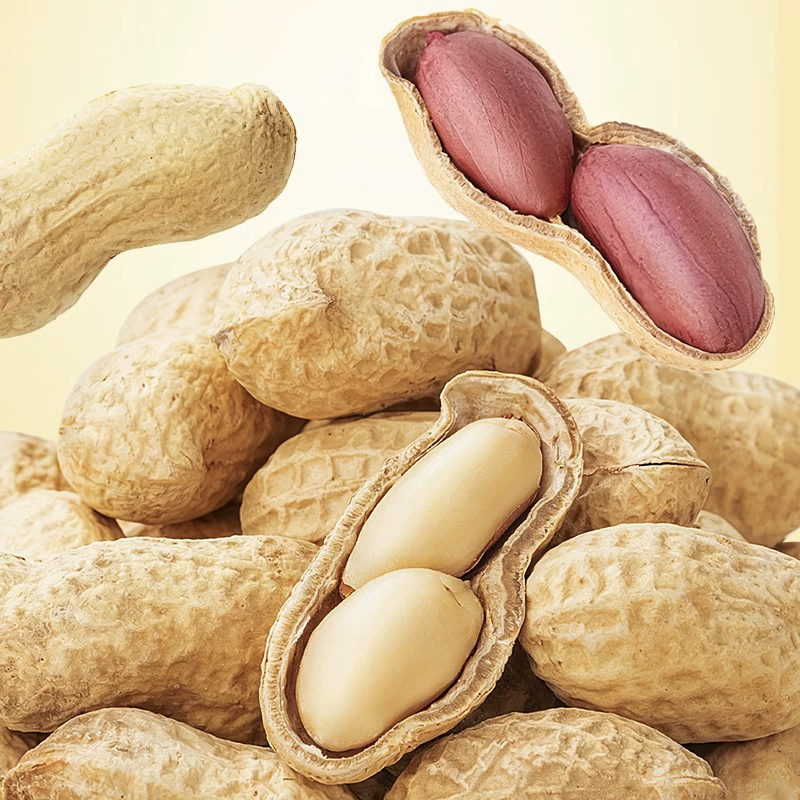 Mr. Squirrel® Roasted Peanuts – Garlic & Walnut Flavors