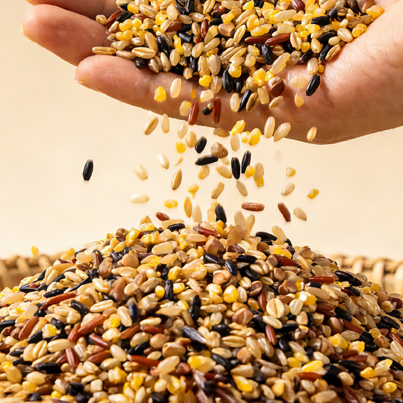 Mr. Squirrel® Premium 6-Grain Brown Rice Mix 