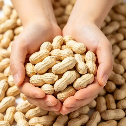 Mr. Squirrel® Roasted Peanuts – Garlic & Walnut Flavors