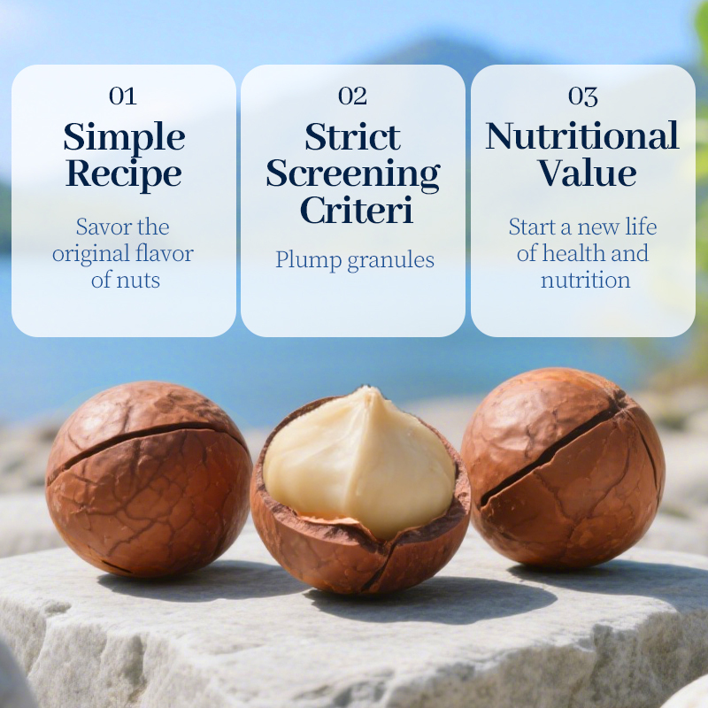 Mr. Squirrel® Premium Macadamia Nuts