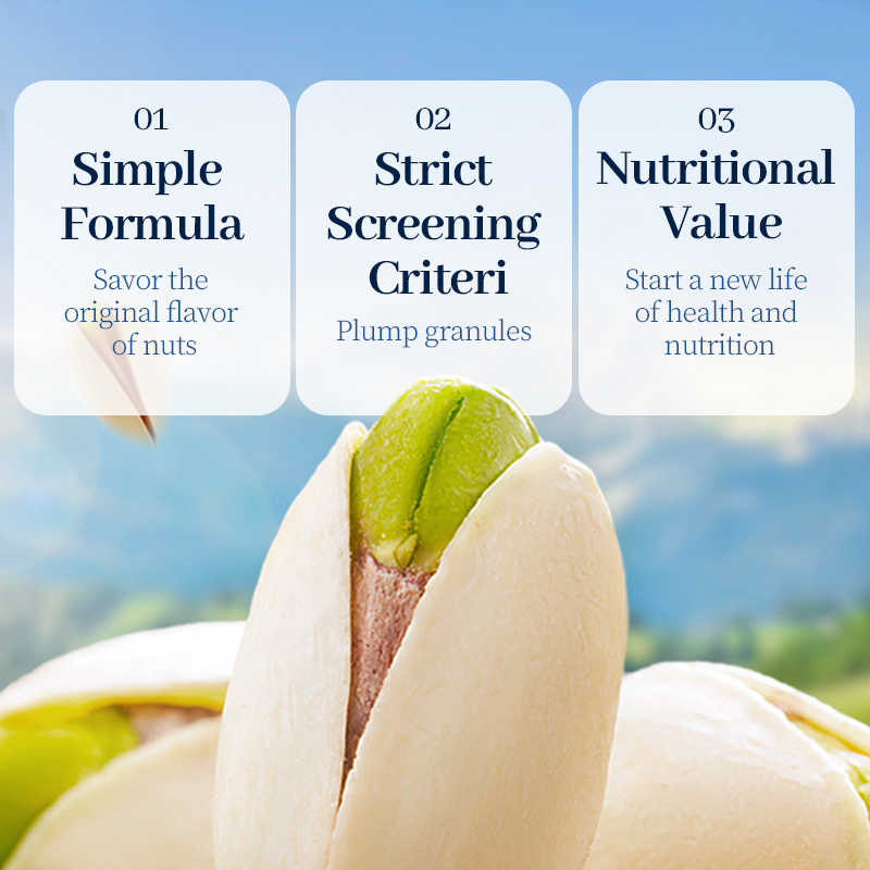 Mr. Squirrel® Salted Roasted Pistachio Nuts (In Shell)