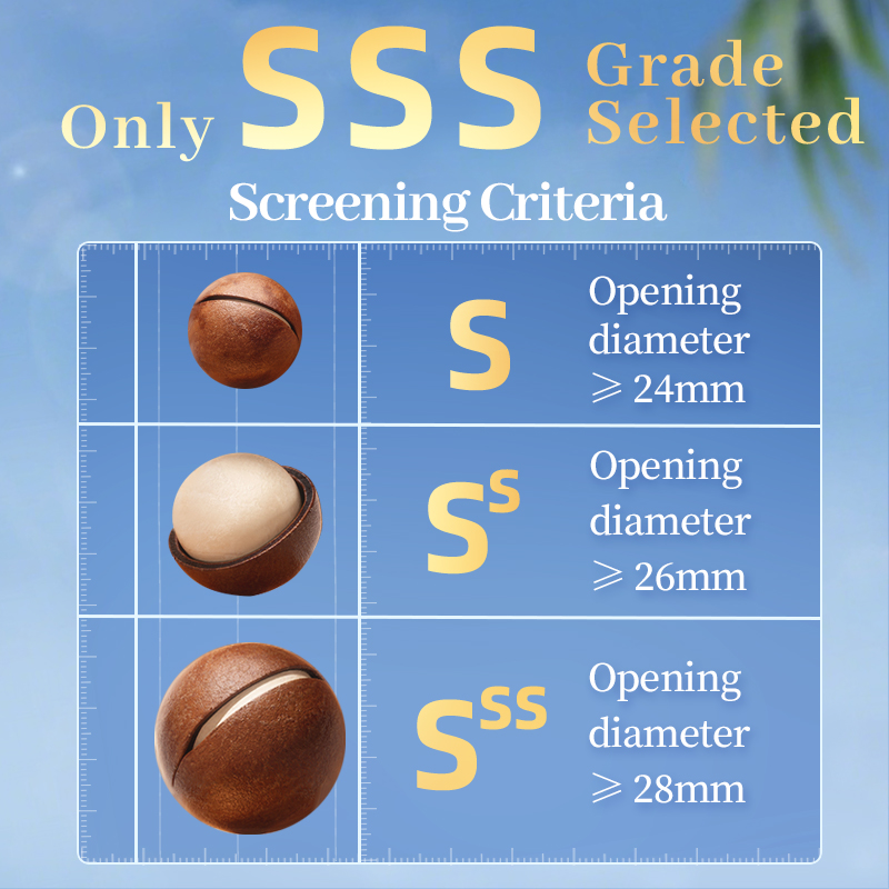 Mr. Squirrel® Premium Macadamia Nuts