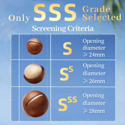 Mr. Squirrel® Premium Macadamia Nuts