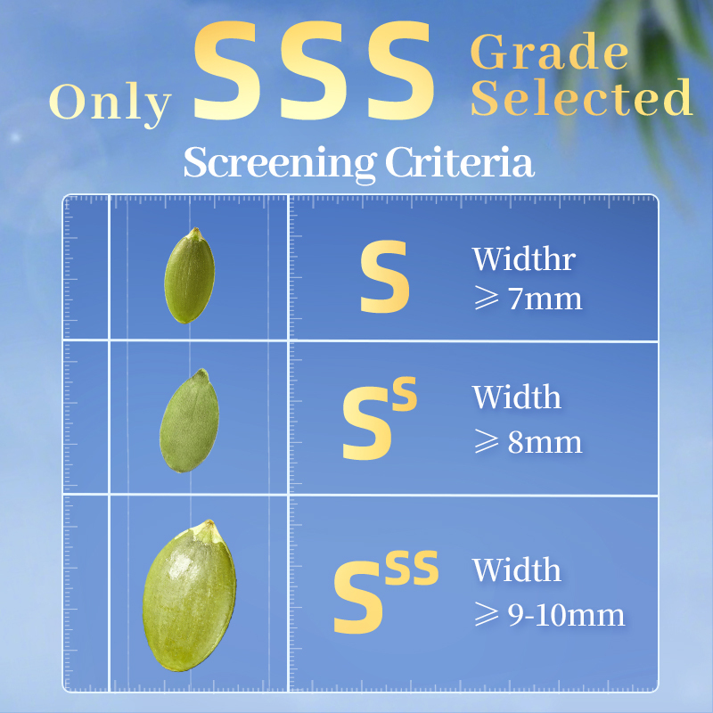 Mr. Squirrel® Pumpkin Seeds Kernels