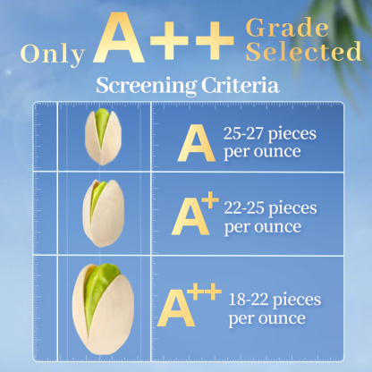 Mr. Squirrel® Salted Roasted Pistachio Nuts (In Shell)