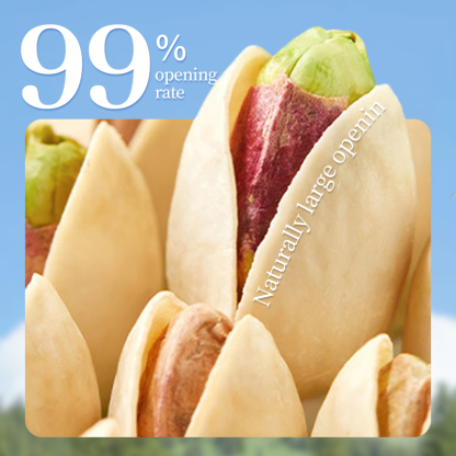 Mr. Squirrel® Salted Roasted Pistachio Nuts (In Shell)