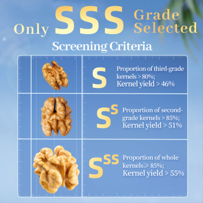Mr. Squirrel® Amber Honey Walnuts