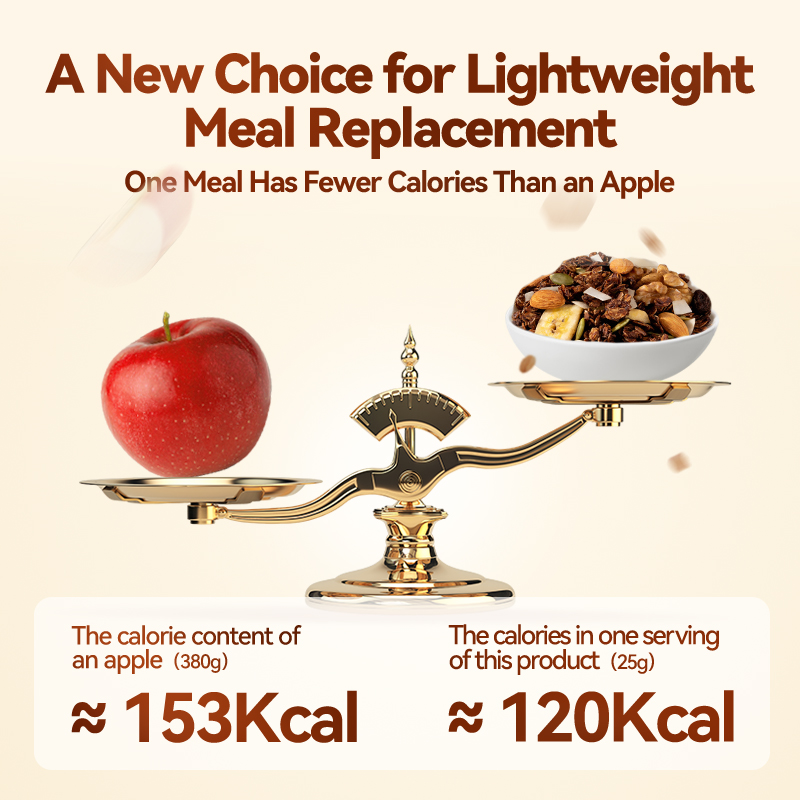 Mr. Squirrel® Black Chocolate Nut Oatmeal