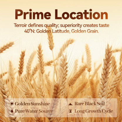 Mr. Squirrel® Premium 6-Grain Brown Rice Mix 