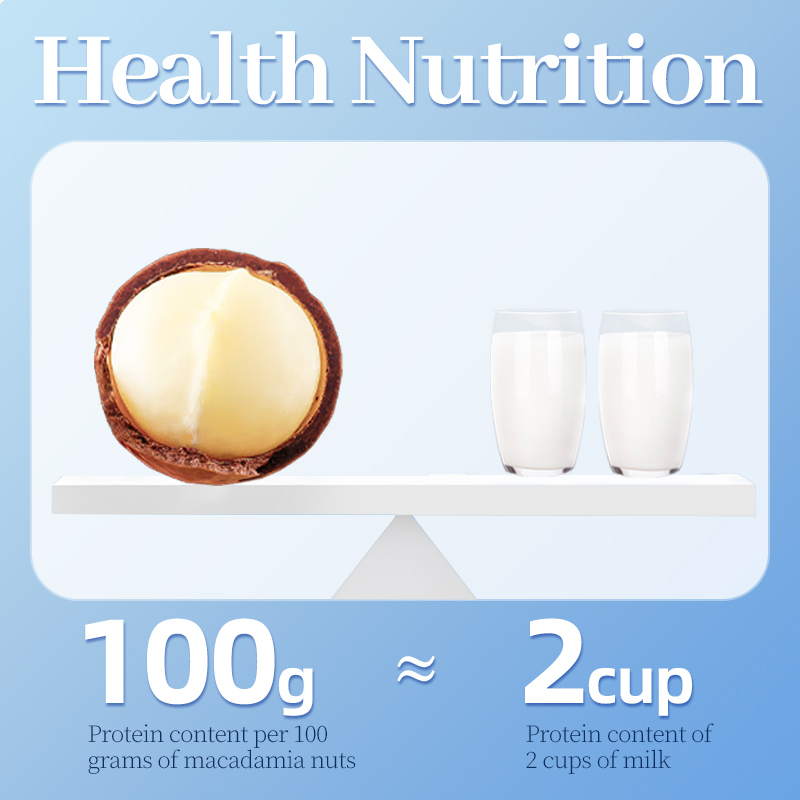 Mr. Squirrel® Premium Macadamia Nuts