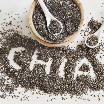 Mr. Squirrel® Organic Chia Seeds