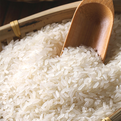 Mr. Squirrel® Dried Shirataki Rice